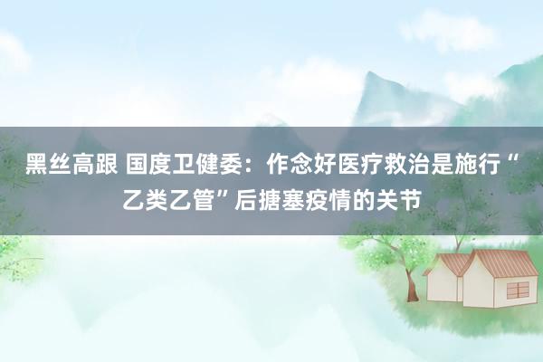 黑丝高跟 国度卫健委：作念好医疗救治是施行“乙类乙管”后搪塞疫情的关节