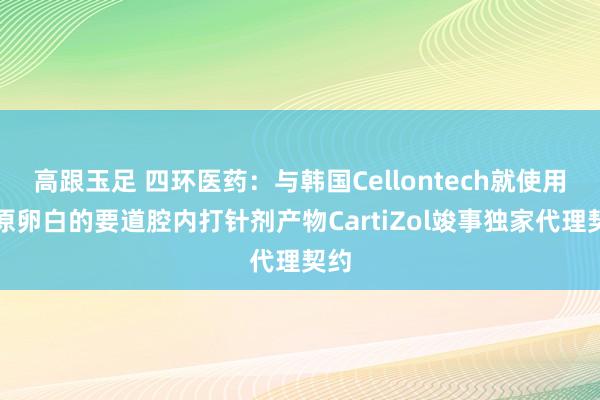 高跟玉足 四环医药：与韩国Cellontech就使用胶原卵白的要道腔内打针剂产物CartiZol竣事独家代理契约