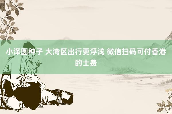 小泽圆种子 大湾区出行更浮浅 微信扫码可付香港的士费