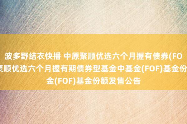 波多野结衣快播 中原聚顺优选六个月握有债券(FOF)A: 中原聚顺优选六个月握有期债券型基金中基金(FOF)基金份额发售公告