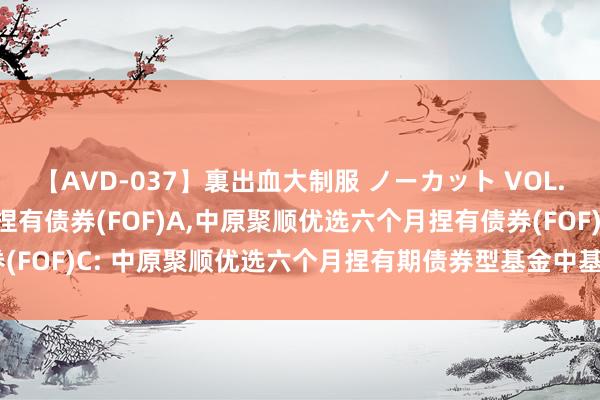 【AVD-037】裏出血大制服 ノーカット VOL.3 中原聚顺优选六个月捏有债券(FOF)A,中原聚顺优选六个月捏有债券(FOF)C: 中原聚顺优选六个月捏有期债券型基金中基金(FOF)招募说明书