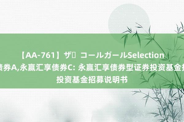 【AA-761】ザ・コールガールSelection 永赢汇享债券A,永赢汇享债券C: 永赢汇享债券型证券投资基金招募说明书