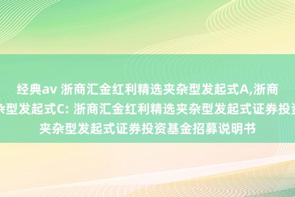 经典av 浙商汇金红利精选夹杂型发起式A,浙商汇金红利精选夹杂型发起式C: 浙商汇金红利精选夹杂型发起式证券投资基金招募说明书