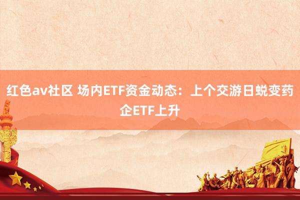 红色av社区 场内ETF资金动态：上个交游日蜕变药企ETF上升