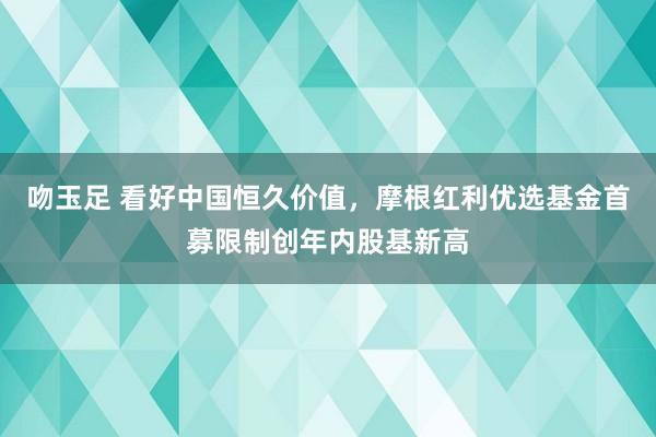 吻玉足 看好中国恒久价值，摩根红利优选基金首募限制创年内股基新高