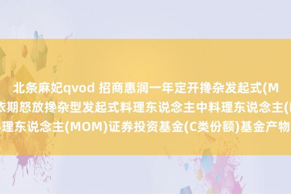 北条麻妃qvod 招商惠润一年定开搀杂发起式(MOM)C: 招商惠润一年依期怒放搀杂型发起式料理东说念主中料理东说念主(MOM)证券投资基金(C类份额)基金产物汉典摘抄更新