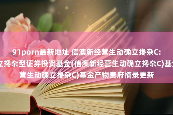 91porn最新地址 信澳新经营生动确立搀杂C: 信澳新经营生动确立搀杂型证券投资基金(信澳新经营生动确立搀杂C)基金产物贵府摘录更新