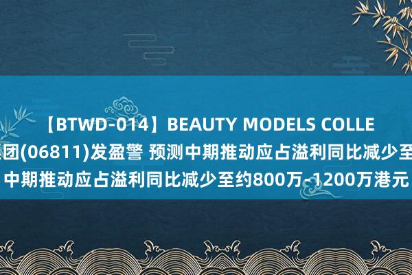 【BTWD-014】BEAUTY MODELS COLLECTION 2 4時間 太兴集团(06811)发盈警 预测中期推动应占溢利同比减少至约800万-1200万港元