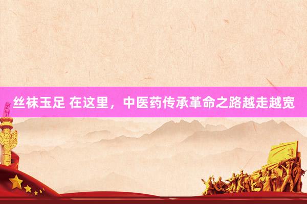 丝袜玉足 在这里，中医药传承革命之路越走越宽