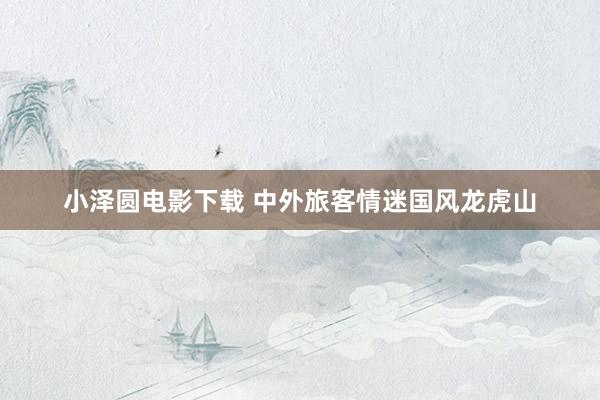 小泽圆电影下载 中外旅客情迷国风龙虎山