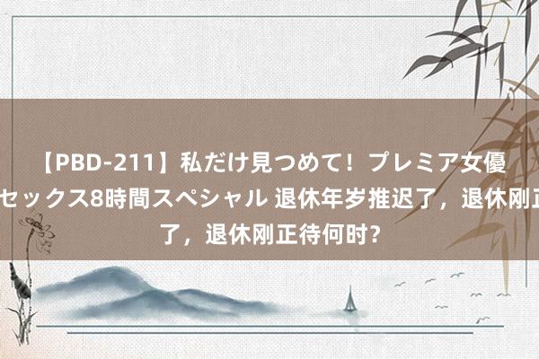 【PBD-211】私だけ見つめて！プレミア女優と主観でセックス8時間スペシャル 退休年岁推迟了，退休刚正待何时？
