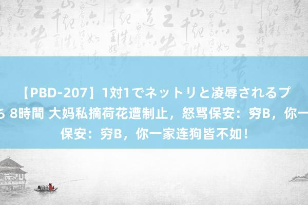 【PBD-207】1対1でネットリと凌辱されるプレミア女優たち 8時間 大妈私摘荷花遭制止，怒骂保安：穷B，你一家连狗皆不如！