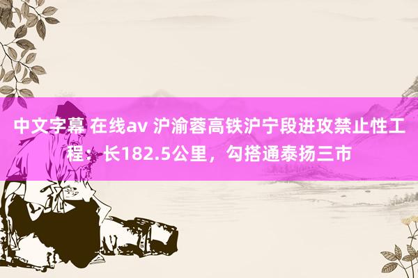 中文字幕 在线av 沪渝蓉高铁沪宁段进攻禁止性工程：长182.5公里，勾搭通泰扬三市