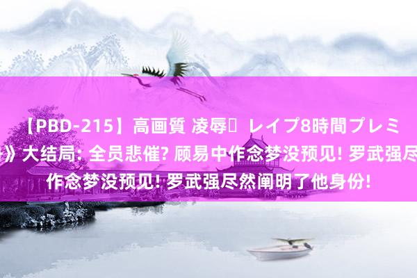 【PBD-215】高画質 凌辱・レイプ8時間プレミアムBEST 《孤舟》大结局: 全员悲催? 顾易中作念梦没预见! 罗武强尽然阐明了他身份!