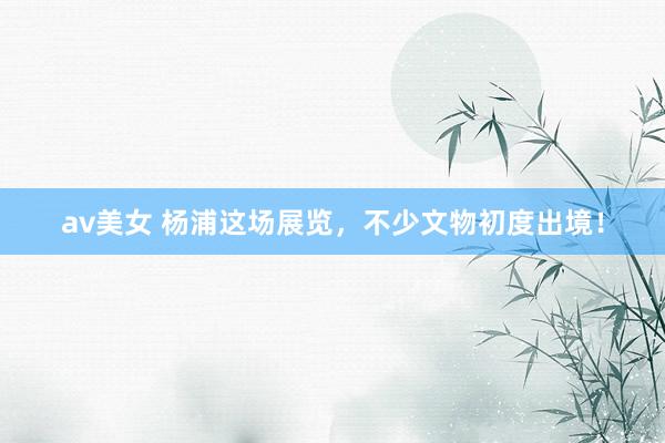 av美女 杨浦这场展览，不少文物初度出境！