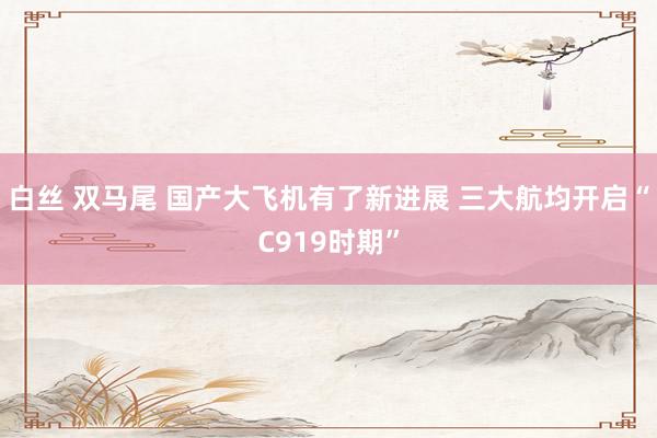 白丝 双马尾 国产大飞机有了新进展 三大航均开启“C919时期”