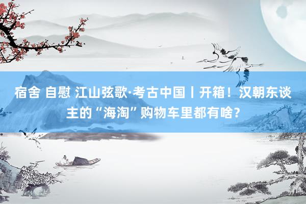 宿舍 自慰 江山弦歌·考古中国丨开箱！汉朝东谈主的“海淘”购物车里都有啥？