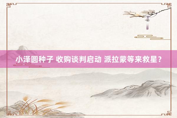 小泽圆种子 收购谈判启动 派拉蒙等来救星？
