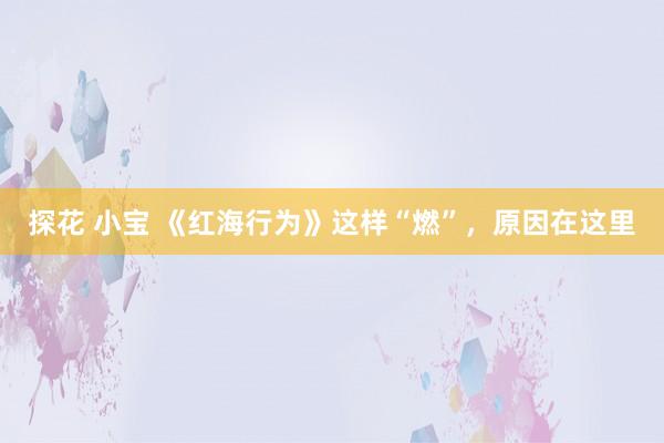 探花 小宝 《红海行为》这样“燃”，原因在这里