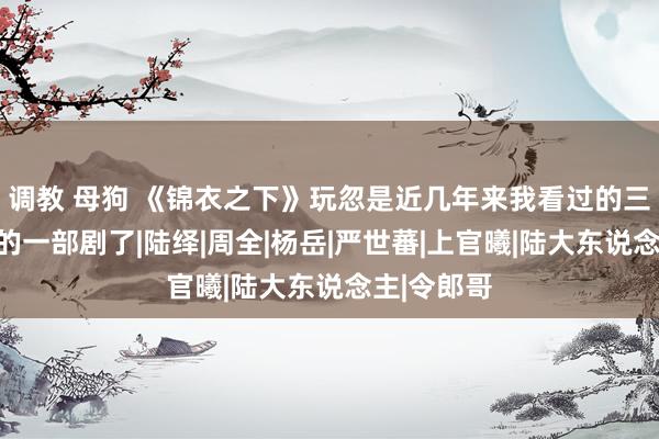 调教 母狗 《锦衣之下》玩忽是近几年来我看过的三不雅最正的一部剧了|陆绎|周全|杨岳|严世蕃|上官曦|陆大东说念主|令郎哥