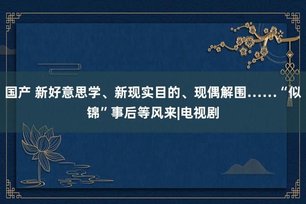 国产 新好意思学、新现实目的、现偶解围……“似锦”事后等风来|电视剧