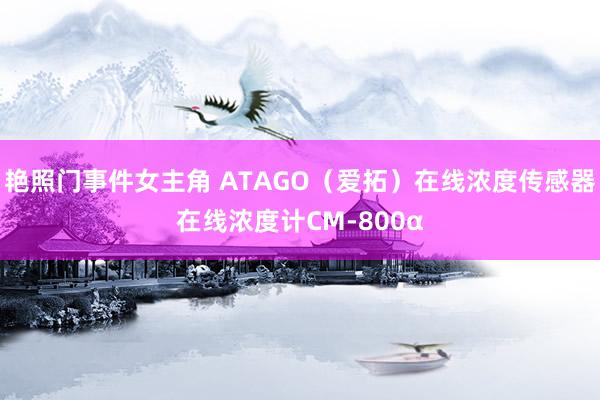 艳照门事件女主角 ATAGO（爱拓）在线浓度传感器在线浓度计CM-800α