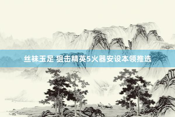 丝袜玉足 狙击精英5火器安设本领推选