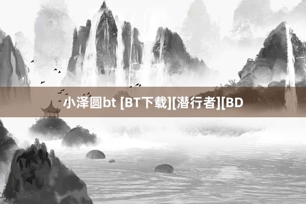 小泽圆bt [BT下载][潜行者][BD