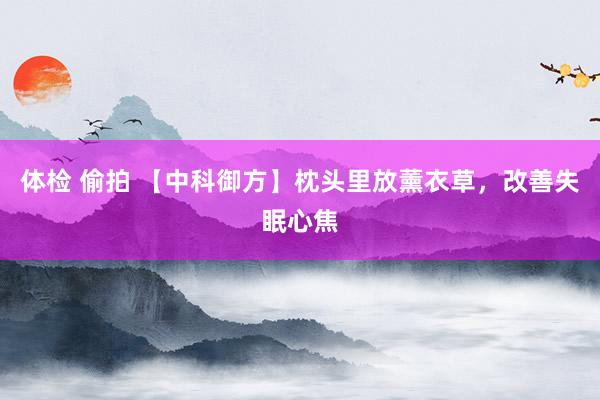 体检 偷拍 【中科御方】枕头里放薰衣草，改善失眠心焦
