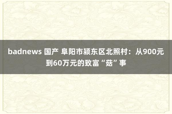 badnews 国产 阜阳市颍东区北照村：从900元到60万元的致富“菇”事