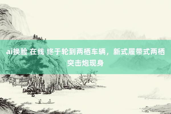 ai换脸 在线 终于轮到两栖车辆，新式履带式两栖突击炮现身
