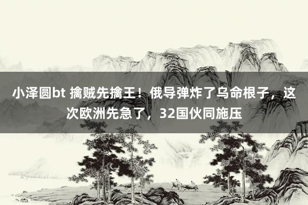小泽圆bt 擒贼先擒王！俄导弹炸了乌命根子，这次欧洲先急了，32国伙同施压