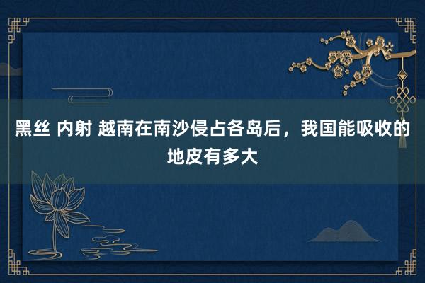 黑丝 内射 越南在南沙侵占各岛后，我国能吸收的地皮有多大