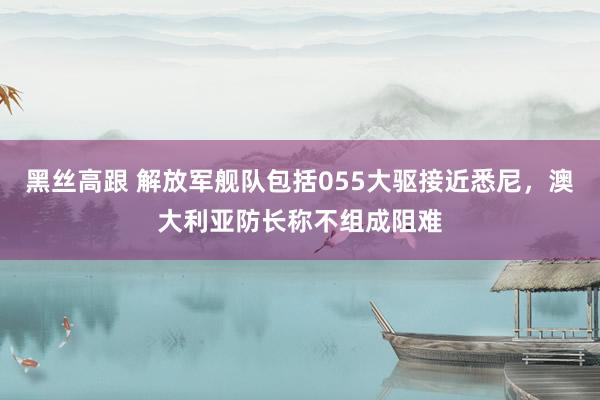 黑丝高跟 解放军舰队包括055大驱接近悉尼，澳大利亚防长称不组成阻难