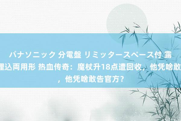 パナソニック 分電盤 リミッタースペース付 露出・半埋込両用形 热血传奇：魔杖升18点遭回收，他凭啥敢告官方？