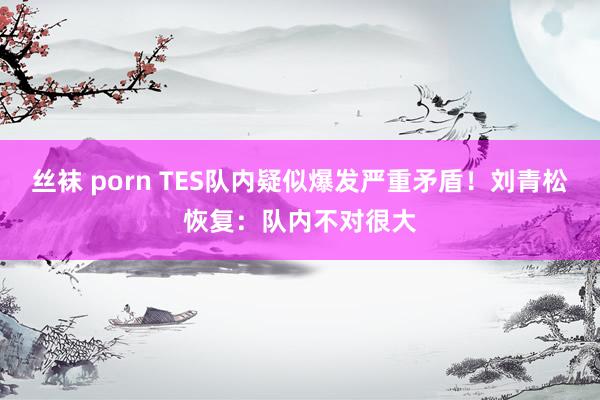丝袜 porn TES队内疑似爆发严重矛盾！刘青松恢复：队内不对很大