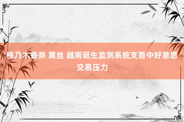 桃乃木香奈 黑丝 越南诞生监测系统支吾中好意思交易压力