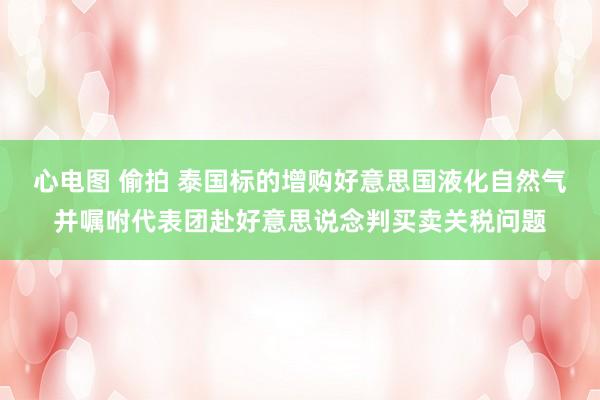 心电图 偷拍 泰国标的增购好意思国液化自然气并嘱咐代表团赴好意思说念判买卖关税问题