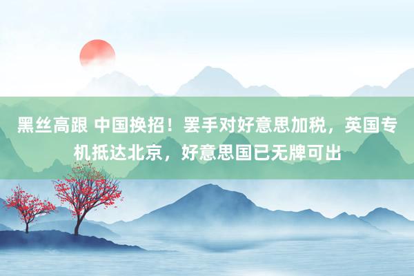 黑丝高跟 中国换招！罢手对好意思加税，英国专机抵达北京，好意思国已无牌可出