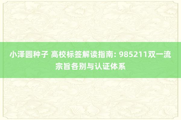 小泽圆种子 高校标签解读指南: 985211双一流宗旨各别与认证体系