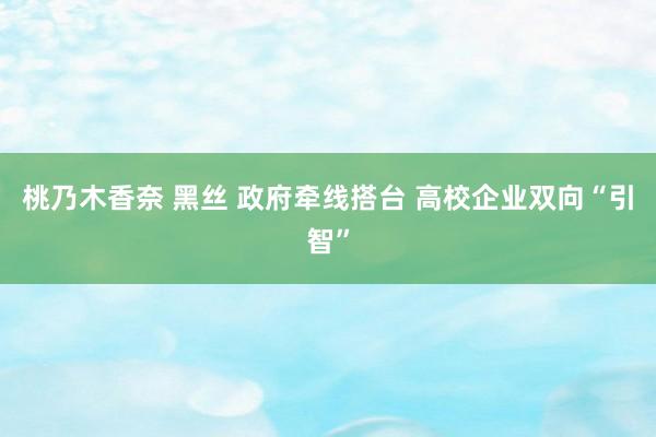 桃乃木香奈 黑丝 政府牵线搭台 高校企业双向“引智”