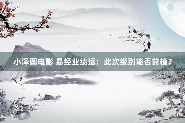 小泽圆电影 易经业绩运：此次级别能否莳植？