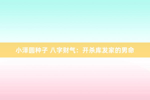 小泽圆种子 八字财气：开杀库发家的男命