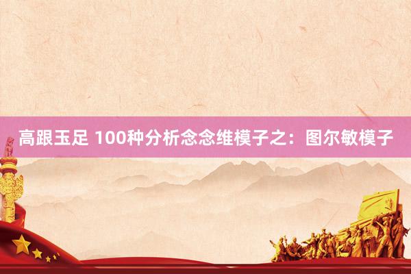高跟玉足 100种分析念念维模子之：图尔敏模子
